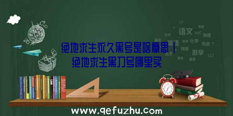 「绝地求生永久黑号是啥意思」|绝地求生黑刀号哪里买